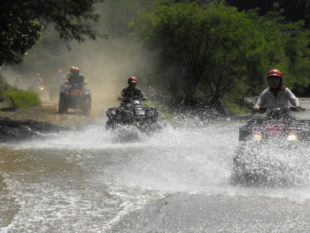 Wild trek cuatrimotos